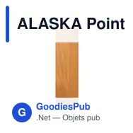 ALASKA Pointeur laser multifonctions - Miniature 2