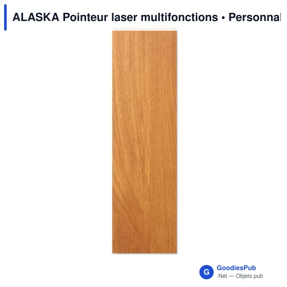 ALASKA Pointeur laser multifonctions - Image 2