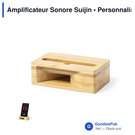 Amplificateur Sonore Suijin