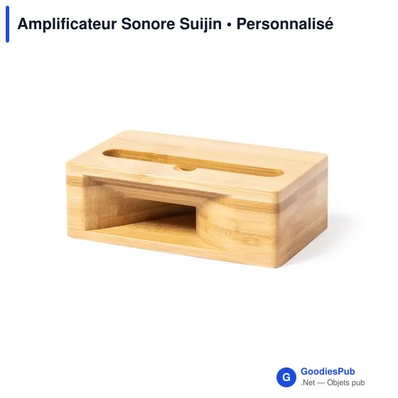 Amplificateur Sonore Suijin - Image 2