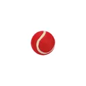 Variante rouge - Balle de tennis personnalisable pour animaux avec logo - Balle Niki