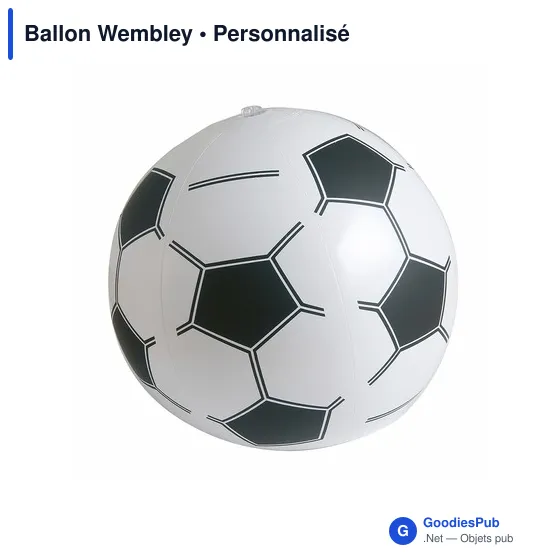 Ballon de plage personnalisable avec logo - Wembley - Image 1