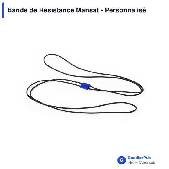 Bande de Résistance Mansat - Image 3
