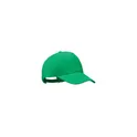 Variante vert - BICCA CAP Casquette coton bio 250gr/m²