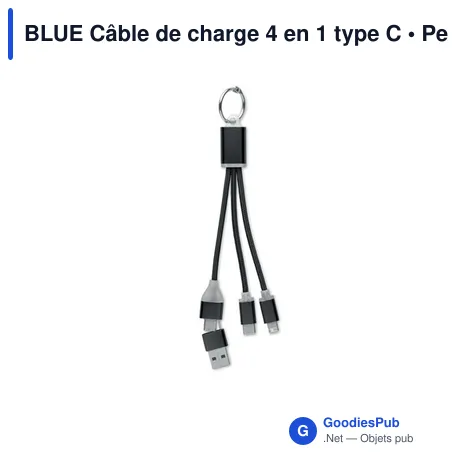 BLUE Câble de charge 4 en 1 type C