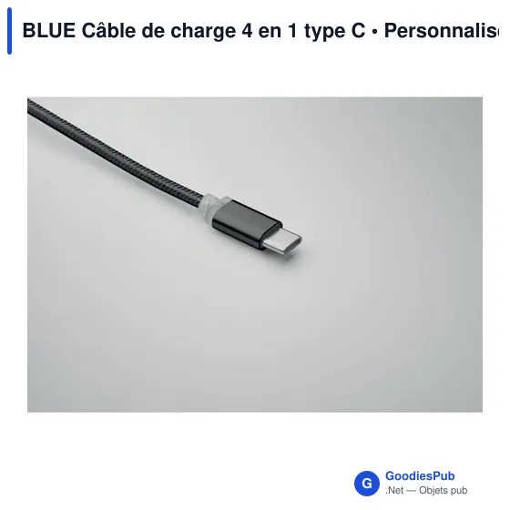 BLUE Câble de charge 4 en 1 type C - Image 3