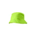 Variante vert citron - Bob Felipe