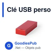 Clé USB personnalisable avec logo pour entreprises - Miniature 11