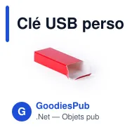 Clé USB personnalisable avec logo pour entreprises - Miniature 6