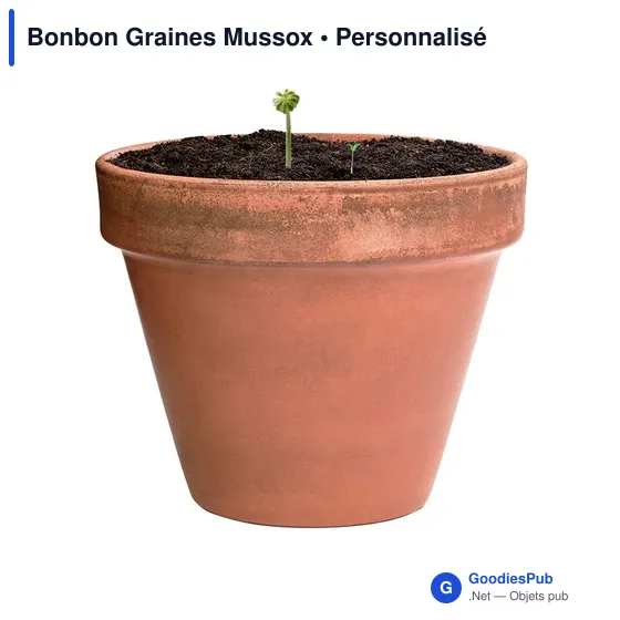 Bonbon Graines Mussox - Image 4