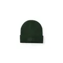Variante vert foncé - Bonnet Holsen