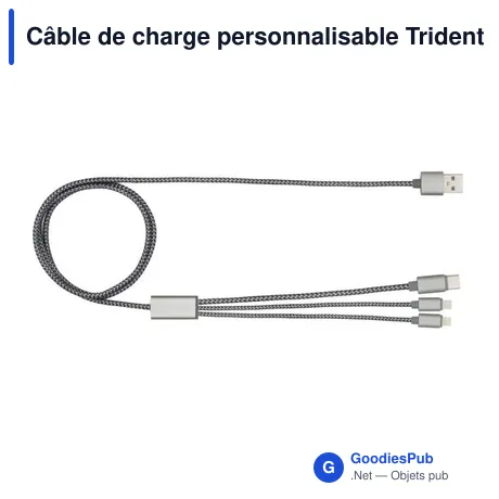Câble de charge personnalisable Trident 2 avec logo