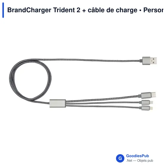 Câble de charge personnalisable Trident 2 avec logo - Image 2