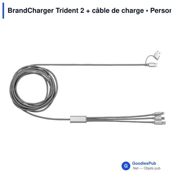 Câble de charge personnalisable Trident 2 avec logo - Image 4