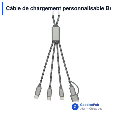 Câble de chargement personnalisable BrandCharger Trident 2 avec logo