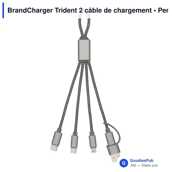 Câble de chargement personnalisable BrandCharger Trident 2 avec logo - Image 2