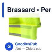 Brassard - Miniature 6