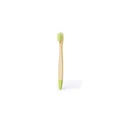Variante vert - Brosse à Dents Becu