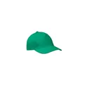 Variante vert - BUZZ Casquette 5 panneaux 160 gr/m