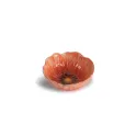 Variante Rouge - Lot de 4 bols personnalisables en grès cérame avec logo - Byon Poppy