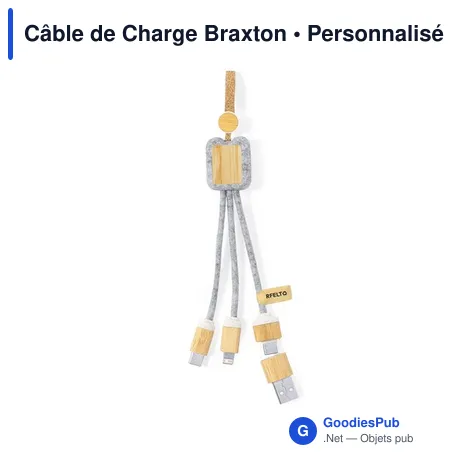 Câble de Charge Braxton