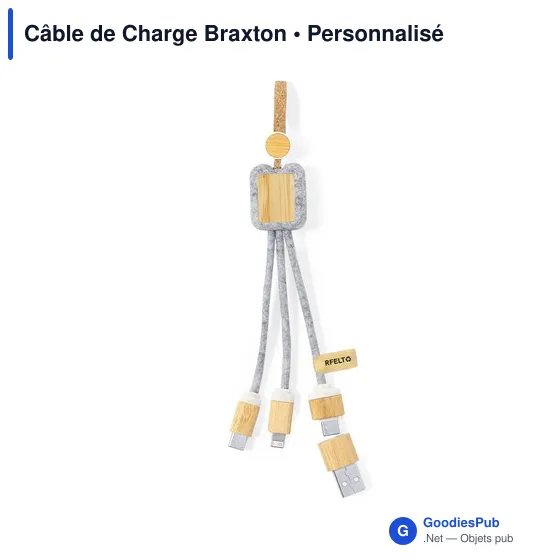 Câble de Charge Braxton - Image 1