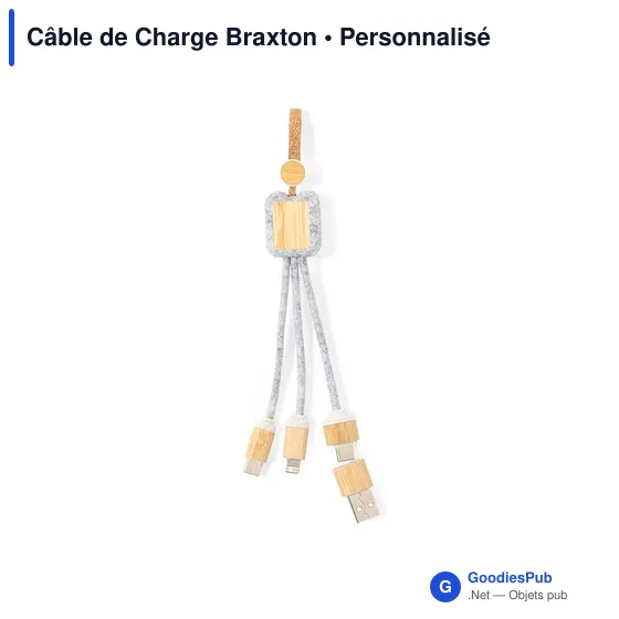 Câble de Charge Braxton - Image 2