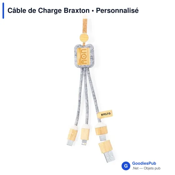Câble de Charge Braxton - Image 3