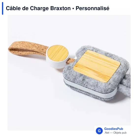 Câble de Charge Braxton - Image 4