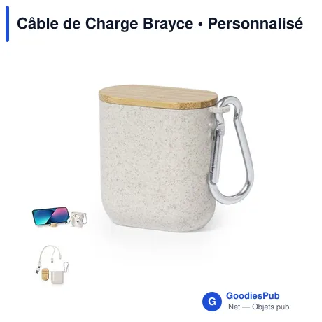 Câble de Charge Brayce