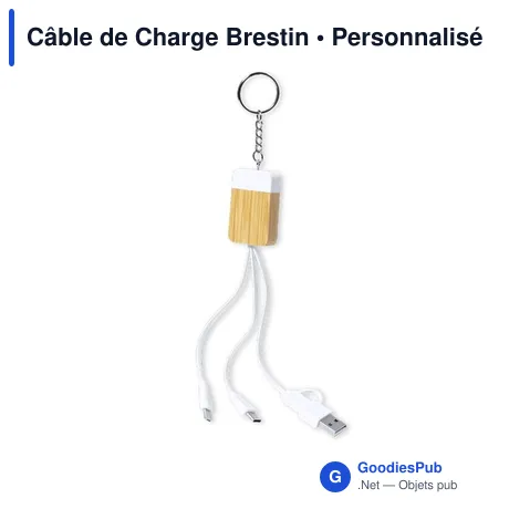 Câble de Charge Brestin