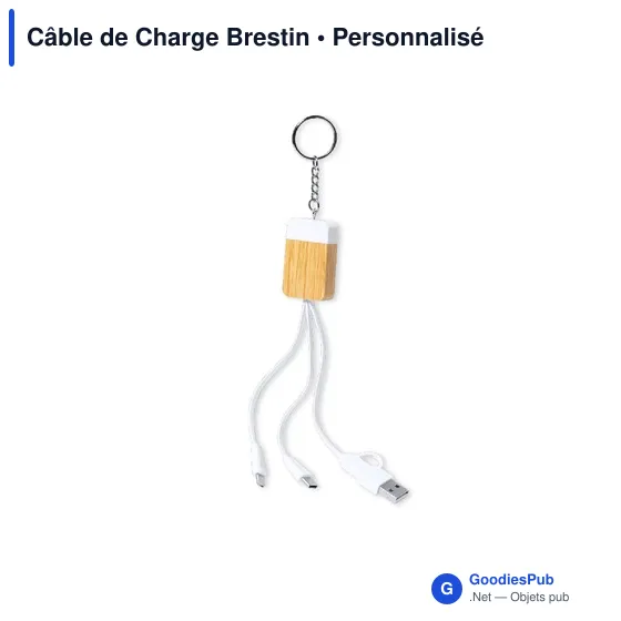 Câble de Charge Brestin - Image 2