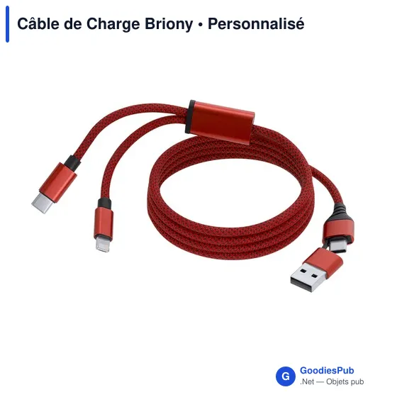 Câble de Charge Personnalisable Briony avec Logo - Image 2