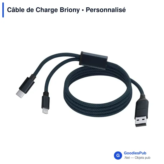 Câble de Charge Personnalisable Briony avec Logo - Image 9