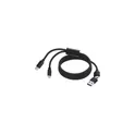 Variante noir - Câble de Charge Personnalisable Briony avec Logo
