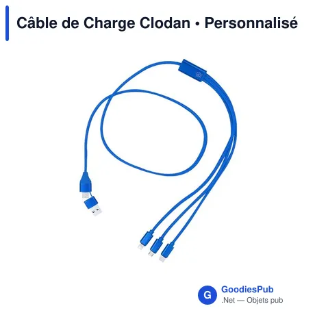 Câble de Charge Clodan