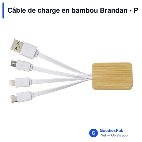 Câble de charge en bambou Brandan