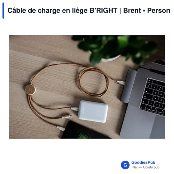 Câble de charge personnalisable en liège B'RIGHT | Brentavec logo - Image 3