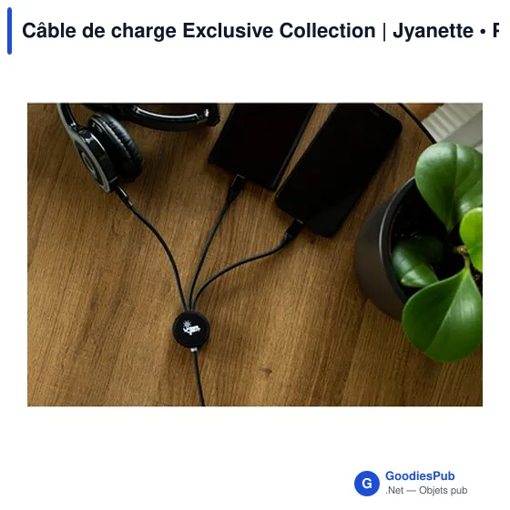 Câble de charge personnalisable avec logo - Exclusive Collection | Jyanette - Image 2