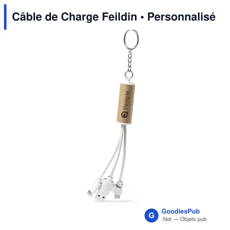 Câble de Charge Feildin