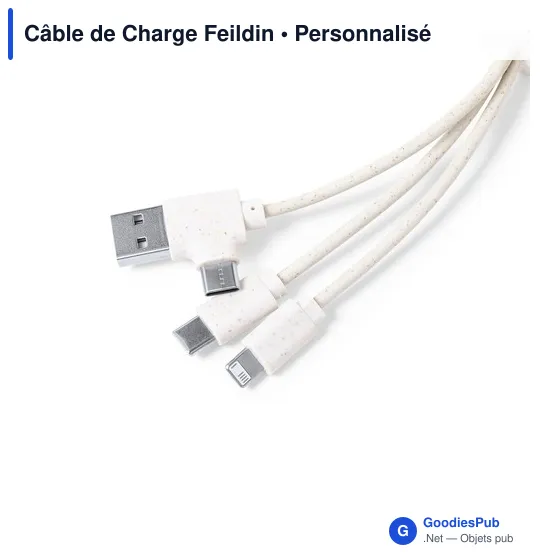 Câble de Charge Feildin - Image 2