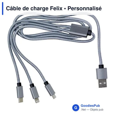 Câble de charge Felix