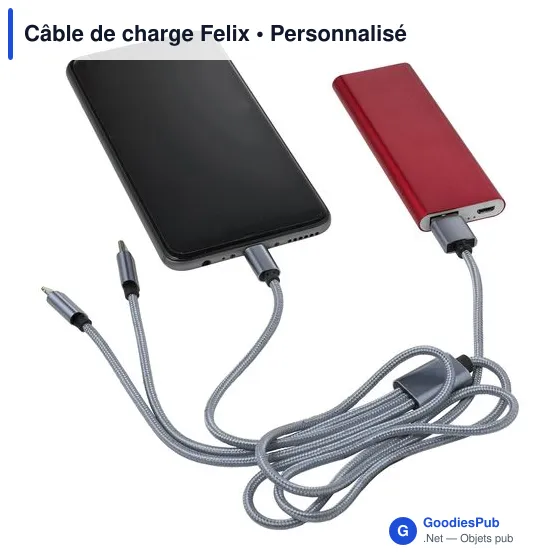Câble de charge Felix - Image 11