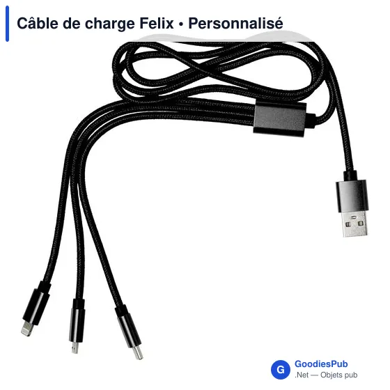 Câble de charge Felix - Image 7