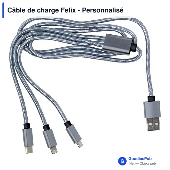 Câble de charge Felix - Image 8