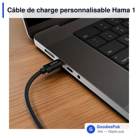 Câble de charge personnalisable Hama 100W avec logo
