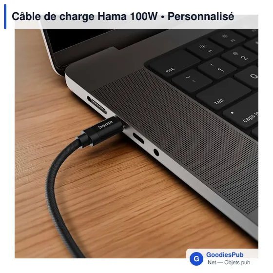Câble de charge Hama 100W - Image 1