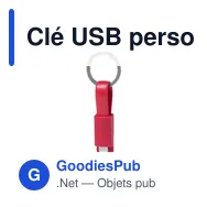 Clé USB personnalisable avec logo pour entreprises - Miniature 11