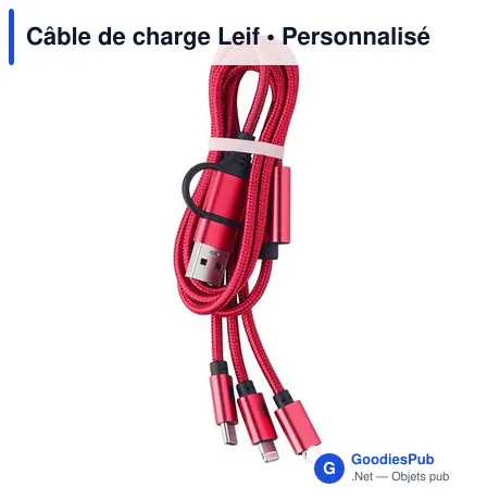 Câble de charge Leif