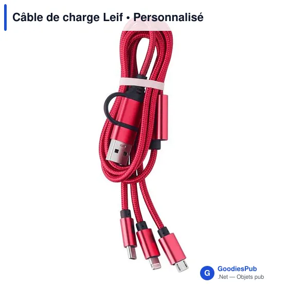 Câble de charge Leif - Image 1
